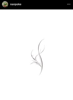 a drawing of a flower on a white background with the words nampoke above it