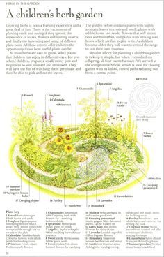 an illustrated garden with the names and descriptions