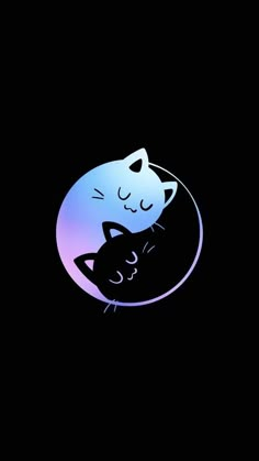 two cats cuddling in the middle of a black circle with purple and blue colors