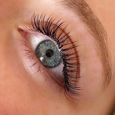 Eyelash Lift And Tint, Lash Extentions, Lashes Fake Eyelashes, Beautiful Eyes Color, Eyelash Extensions Styles, Perfect Eyelashes