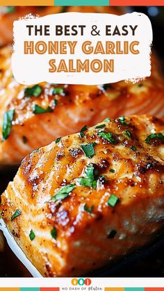 Looking for a quick, delicious dinner? This Honey Garlic Salmon is a flavor-packed meal that’s ready in just 20 minutes! With a sweet and savory glaze of honey, soy sauce, and lemon, it’s perfect for busy nights or impressing guests. Salmon Sauce Recipes, Best Salmon Recipes, Salmon With Honey, Salmon Recipes Oven, Salmon Bites Recipe, Best Salmon Recipe, Salmon Recipes Baked Healthy, Best Salmon