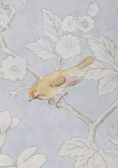 a bird sitting on top of a tree branch with white flowers in it's background