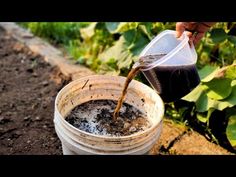 a person pouring water into a bucket filled with dirt