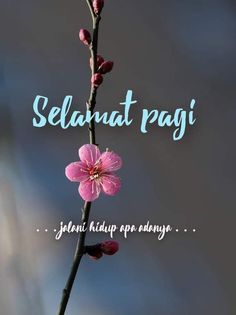 a pink flower with the words selamat pagi on it's side