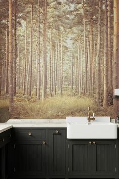 The Enchanting Realm of Pine Trees print from Happywall Pine Trees Wallpaper, Enchanting Wallpaper, Trees Wallpaper, Trees Print, Tree Wallpaper, Old Wallpaper, Pine Trees, Wallpaper Paste, Tree Print