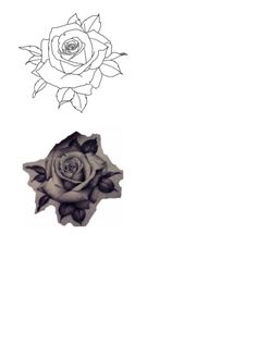 a drawing of a rose on a white background, with the outline of a flower above it