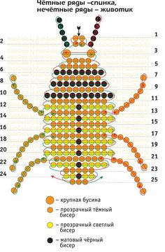 an insect is shown with different colors and numbers on the back side, including dots