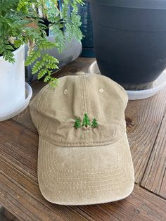 a hat sitting on top of a wooden table next to a potted green plant