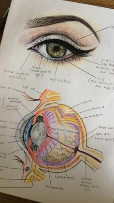 an eye diagram with the words goz callisiken on it and some diagrams