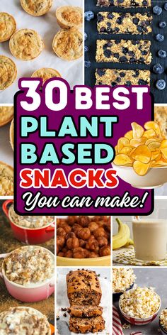 30 best plant based snacks you can make