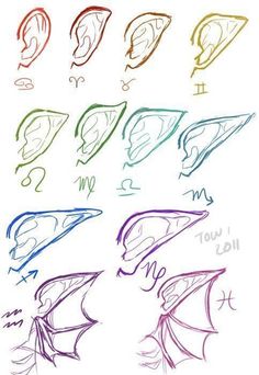 an image of different types of head shapes