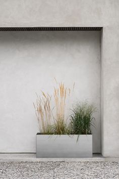 two plants in a metal planter on the side of a building with gravel flooring