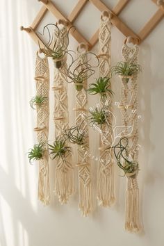 an air plant hanging on a wall with macrame and plants attached to it