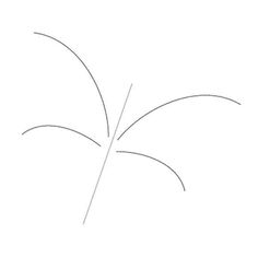 the outline of a plant on a white background