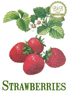 three strawberries are sitting on top of each other with green leaves and white flowers