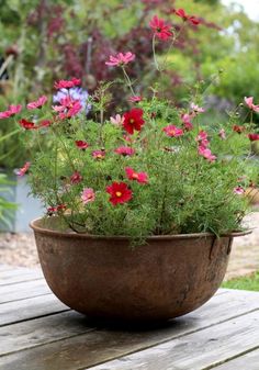 a potted plant with pink and red flowers sitting on a wooden table in a garden