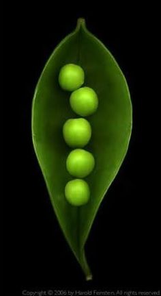 three peas are sitting on top of a green leaf