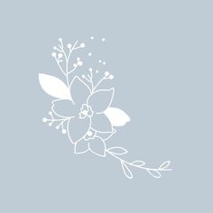 a white flower on a blue background