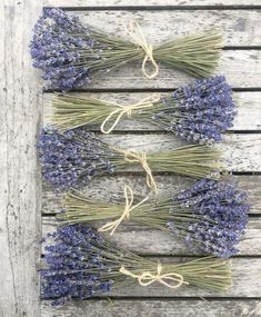 three bundles of lavender flowers tied together on a wooden surface with string and twine