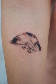 a small cat tattoo on the right arm and leg, it's laying down