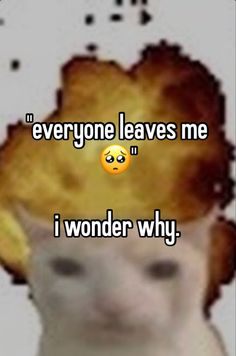 a cat with an emoticive expression on it's face that says everyone leaves me i wonder why