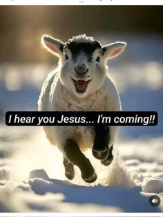 a sheep is running through the snow with its mouth open and it says i hear you jesus, i'm coming