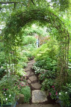 a garden with lots of plants and flowers on it's sides, including an arch