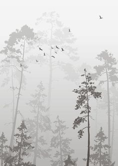 birds are flying in the foggy forest