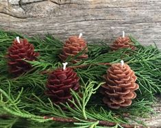 pine cones and needles are arranged on the branches of a fir tree, with small candles in them