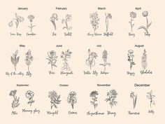 an image of flowers and their names