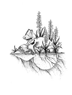 a black and white drawing of a skull in the water with plants growing out of it