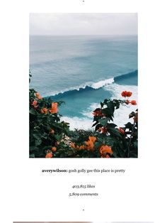 an image of the ocean with flowers in front of it and text that reads, there is