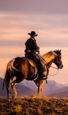 a man riding on the back of a brown horse across a dry grass covered field