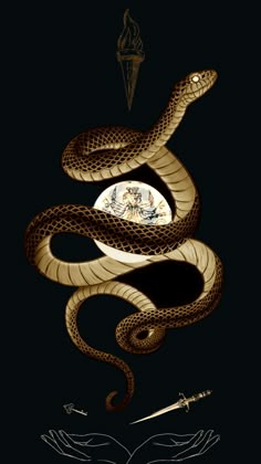 a snake that is on top of a black background with an arrow in the middle