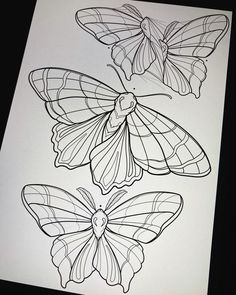 three butterflies are shown on top of a sheet of paper, one is black and the other is white