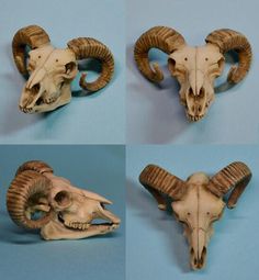 four pictures of ram skulls with long horns