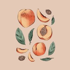 peaches with leaves and seeds on a beige background illustration by person, via art observed