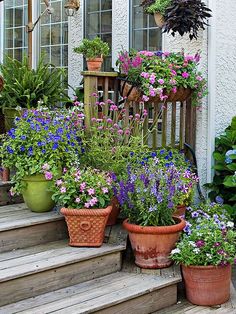 many potted plants are on the steps in front of a house