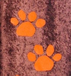 an orange dog paw print on the ground