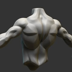 Back Torso Anatomy Reference, Glutes Reference, Muscle Back Reference, Stylized Male Anatomy, Anatomy Reference Back, Stylized Muscles, Torso Muscles Anatomy, Male Back Anatomy, Zbrush Blockout