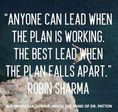 a bird flying over the ocean with a caption that reads anyone can lead when the plan is working, the best lead when the plan falls apart robin shama