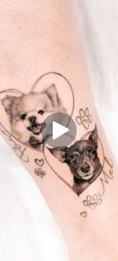 a couple of dogs with hearts and paw prints on their legs are featured in this video