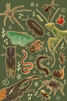 an image of bugs and insects on a green background