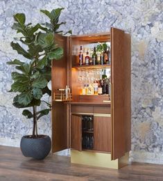 a tall wooden cabinet with a plant in it