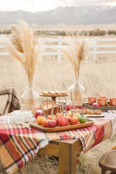 an outdoor picnic with apples, oranges and muffins