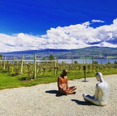 a statue sitting on top of a gravel road next to a lush green field with mountains in the background