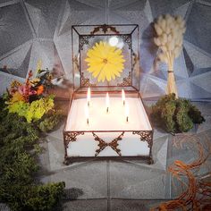 a lighted box with flowers and candles in it sitting on a table next to some plants