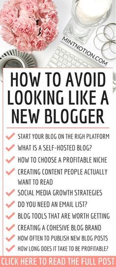 how to avoid looking like a new blogger info sheet with text overlay that reads, how to avoid looking like a new blogger