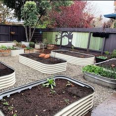 several raised garden beds with plants growing in them