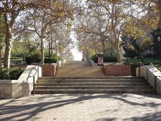 there are many steps that lead up to the trees on this street in front of some buildings